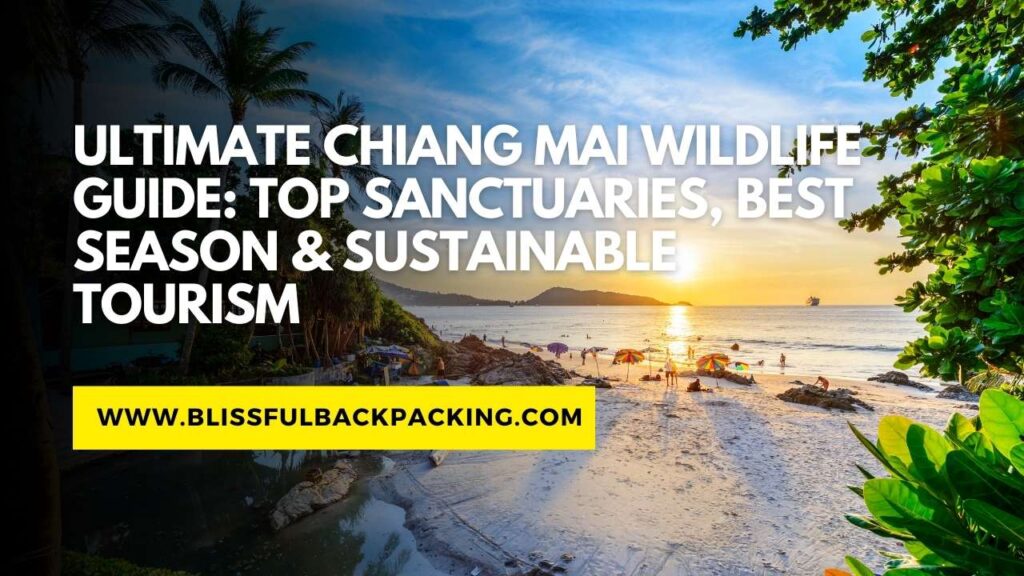 Ultimate Chiang Mai Wildlife Guide: Top Sanctuaries, Best Season & Sustainable Tourism